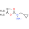 N-Cyclopropylmethyl-hydrazinecarboxylic acid tert-butyl ester