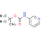 Pyridin-3-yl-carbamic acid tert-butyl ester